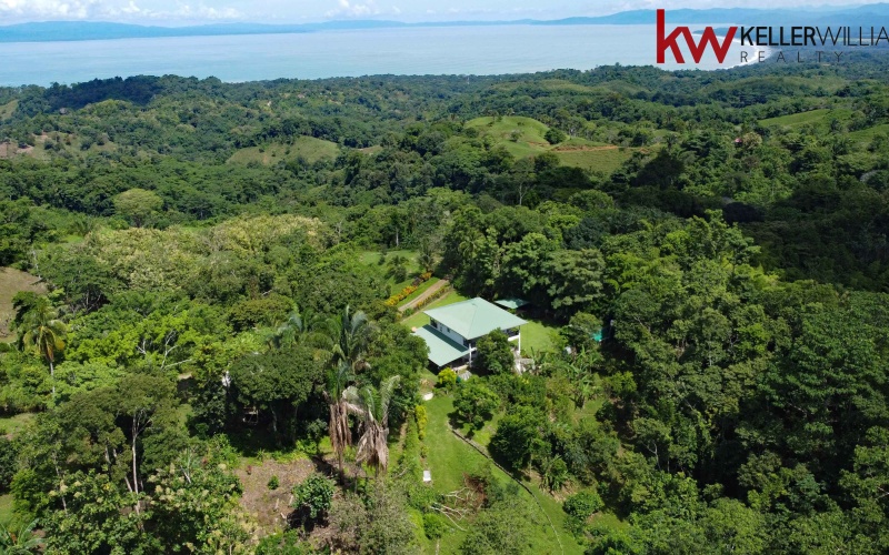 Pavones, Cuervito, Punta Banco, Pilon, House for Sale, Mountain House, Jungle House, Luxury House, 4 bedroom, 3.5 bathroom, Ocean View, Fruit Trees, Medicinal Plants, Herb Garden, Vegetable Garden, Creek, Waterfall, Fully Furnished, Real Estate For Sale, Pavones Real Estate, Costa Rica Luxury home, 