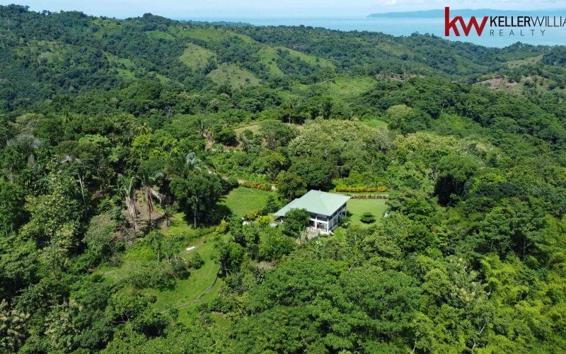 Pavones, Cuervito, Punta Banco, Pilon, House for Sale, Mountain House, Jungle House, Luxury House, 4 bedroom, 3.5 bathroom, Ocean View, Fruit Trees, Medicinal Plants, Herb Garden, Vegetable Garden, Creek, Waterfall, Fully Furnished, Real Estate For Sale, Pavones Real Estate, Costa Rica Luxury home, 