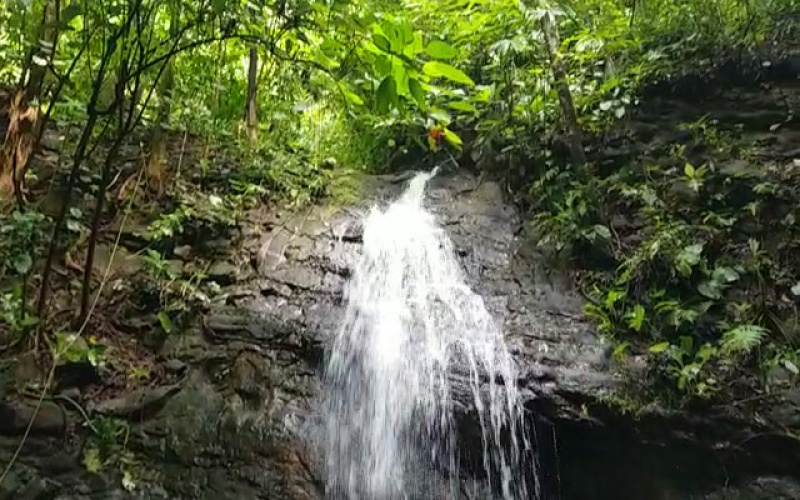 Pavones, Cuervito, Punta Banco, Pilon, House for Sale, Mountain House, Jungle House, Luxury House, 4 bedroom, 3.5 bathroom, Ocean View, Fruit Trees, Medicinal Plants, Herb Garden, Vegetable Garden, Creek, Waterfall, Fully Furnished, Real Estate For Sale, Pavones Real Estate, Costa Rica Luxury home, 