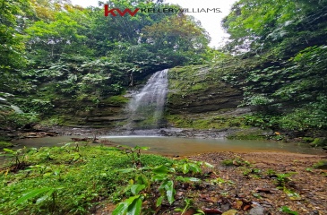 162 acres, 65 hectares. Large farm. Ocean view, Land for sale, Real estate for sale, Properties for sale, Bienes raices, Teak Farm, Keller Williams, Waterfall, Surf property, Pavones Point, Pilon main point, Salea, 