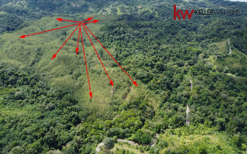 162 acres, 65 hectares. Large farm. Ocean view, Land for sale, Real estate for sale, Properties for sale, Bienes raices, Teak Farm, Keller Williams, Waterfall, Surf property, Pavones Point, Pilon main point, Salea, 