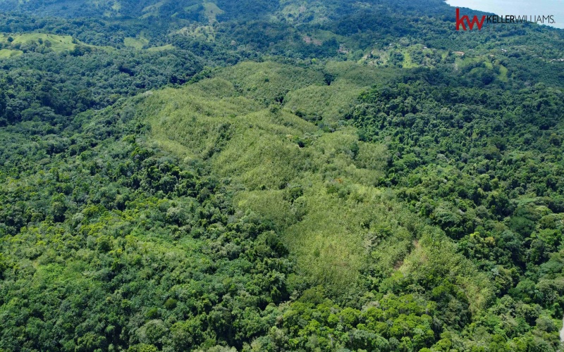 162 acres, 65 hectares. Large farm. Ocean view, Land for sale, Real estate for sale, Properties for sale, Bienes raices, Teak Farm, Keller Williams, Waterfall, Surf property, Pavones Point, Pilon main point, Salea, 