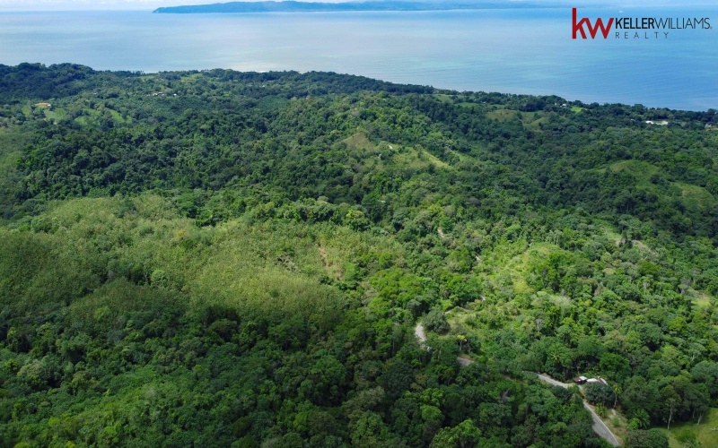 162 acres, 65 hectares. Large farm. Ocean view, Land for sale, Real estate for sale, Properties for sale, Bienes raices, Teak Farm, Keller Williams, Waterfall, Surf property, Pavones Point, Pilon main point, Salea, 