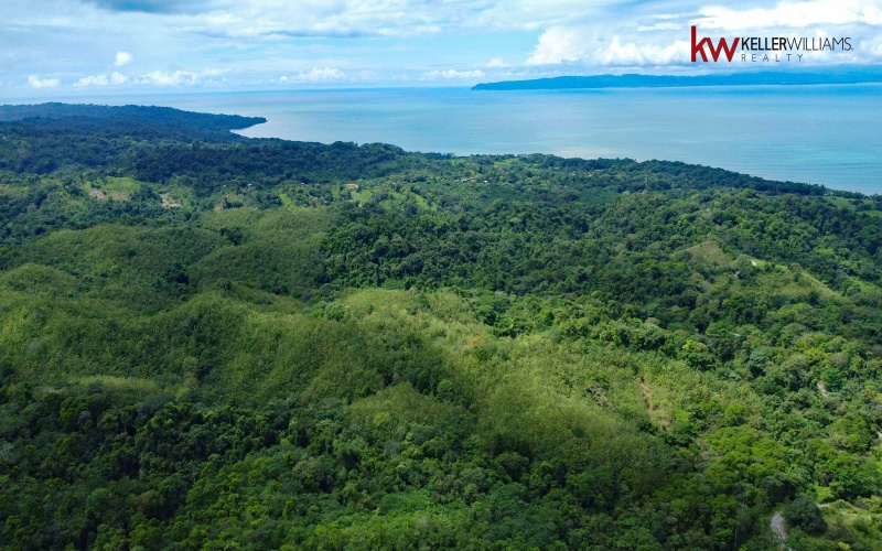 162 acres, 65 hectares. Large farm. Ocean view, Land for sale, Real estate for sale, Properties for sale, Bienes raices, Teak Farm, Keller Williams, Waterfall, Surf property, Pavones Point, Pilon main point, Salea, 