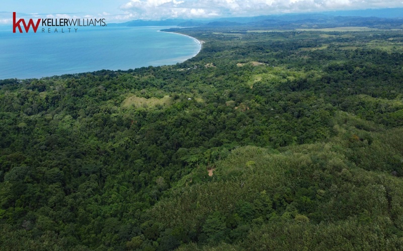 162 acres, 65 hectares. Large farm. Ocean view, Land for sale, Real estate for sale, Properties for sale, Bienes raices, Teak Farm, Keller Williams, Waterfall, Surf property, Pavones Point, Pilon main point, Salea, 