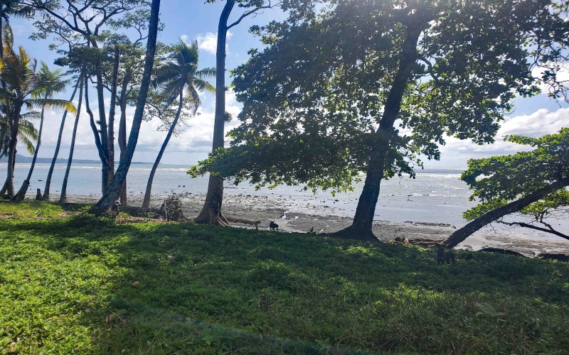 24 hectares for sale, Punta Burica Costa Rica, Costa Rica real estate, Real estate for sale, Land for sale, Beach front, Ocean front, Mountain property for sale, Keller Williams, Pavones, Costa Rica