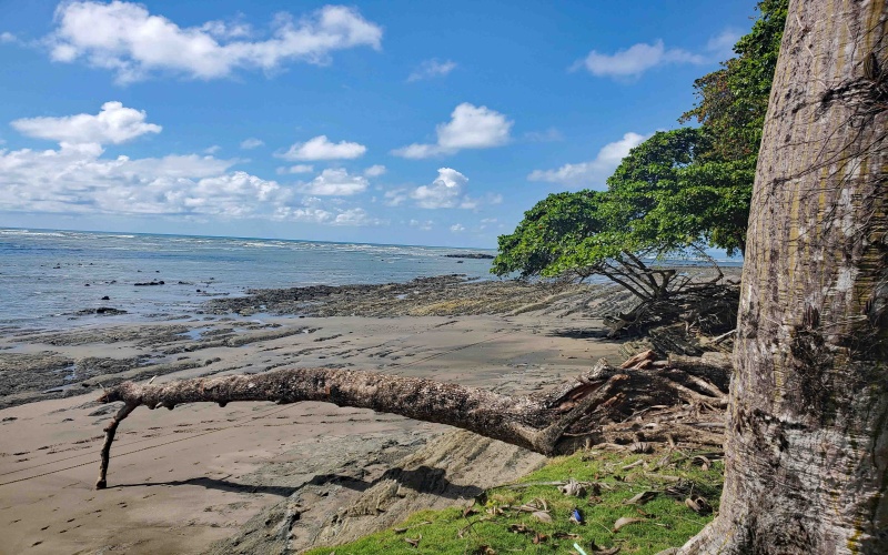 24 hectares for sale, Punta Burica Costa Rica, Costa Rica real estate, Real estate for sale, Land for sale, Beach front, Ocean front, Mountain property for sale, Keller Williams, Pavones, Costa Rica