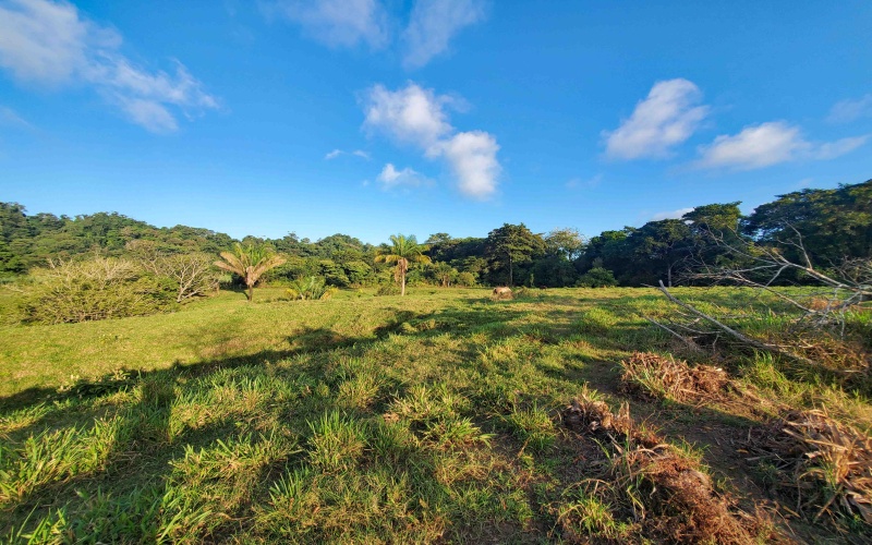 24 hectares for sale, Punta Burica Costa Rica, Costa Rica real estate, Real estate for sale, Land for sale, Beach front, Ocean front, Mountain property for sale, Keller Williams, Pavones, Costa Rica