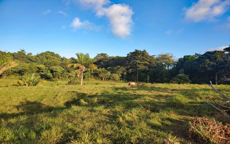 24 hectares for sale, Punta Burica Costa Rica, Costa Rica real estate, Real estate for sale, Land for sale, Beach front, Ocean front, Mountain property for sale, Keller Williams, Pavones, Costa Rica