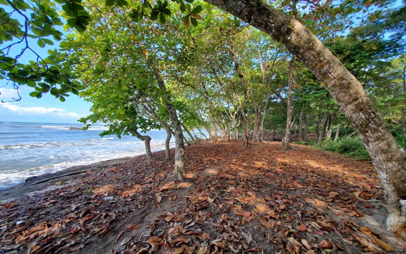 24 hectares for sale, Punta Burica Costa Rica, Costa Rica real estate, Real estate for sale, Land for sale, Beach front, Ocean front, Mountain property for sale, Keller Williams, Pavones, Costa Rica