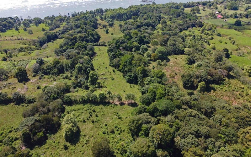 24 hectares for sale, Punta Burica Costa Rica, Costa Rica real estate, Real estate for sale, Land for sale, Beach front, Ocean front, Mountain property for sale, Keller Williams, Pavones, Costa Rica