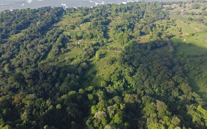 24 hectares for sale, Punta Burica Costa Rica, Costa Rica real estate, Real estate for sale, Land for sale, Beach front, Ocean front, Mountain property for sale, Keller Williams, Pavones, Costa Rica