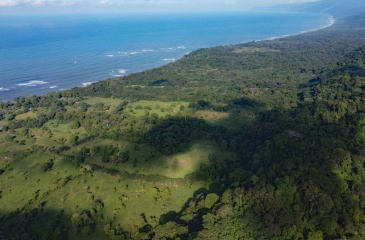24 hectares for sale, Punta Burica Costa Rica, Costa Rica real estate, Real estate for sale, Land for sale, Beach front, Ocean front, Mountain property for sale, Keller Williams, Pavones, Costa Rica