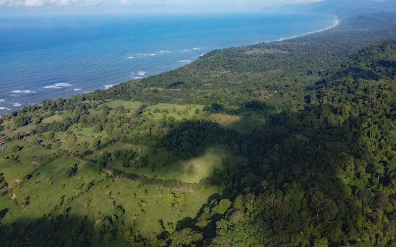 24 hectares for sale, Punta Burica Costa Rica, Costa Rica real estate, Real estate for sale, Land for sale, Beach front, Ocean front, Mountain property for sale, Keller Williams, Pavones, Costa Rica