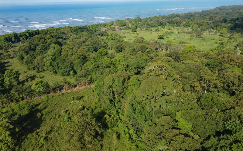 24 hectares for sale, Punta Burica Costa Rica, Costa Rica real estate, Real estate for sale, Land for sale, Beach front, Ocean front, Mountain property for sale, Keller Williams, Pavones, Costa Rica