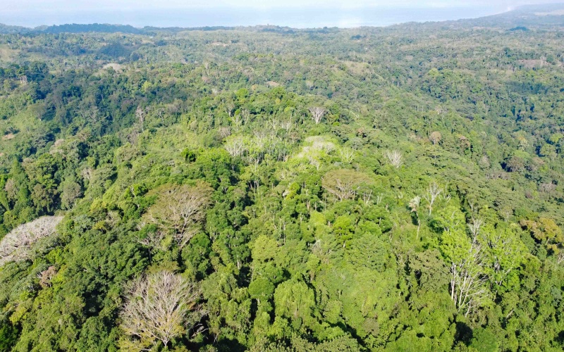 Land for sale, 38 hectares, 95 acres, Cuervito, Pavones, Mountain land, Beach properties, Costa Rica, real estate for sale, Pavones real estate for sale, Lote en venta, 