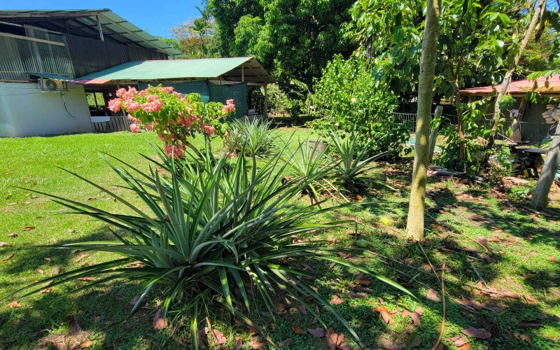 Large house on 1 acre lot, beach house, for sale, Beach front, Pavones, Punta Banco, Rustic house, Bed and breakfast for sale, Costa Rica, Pavones Real estate, 