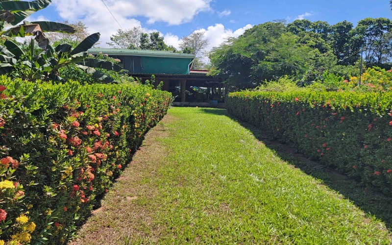 Large house on 1 acre lot, beach house, for sale, Beach front, Pavones, Punta Banco, Rustic house, Bed and breakfast for sale, Costa Rica, Pavones Real estate, 