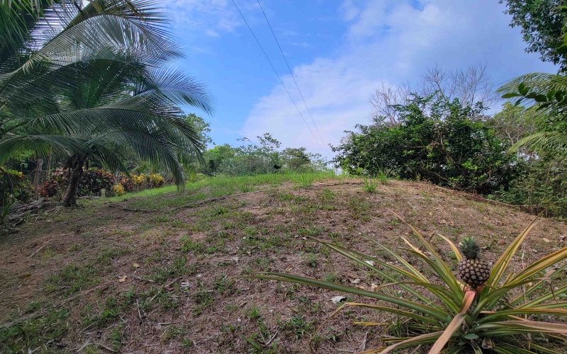 Lot for sale, Se vende, Lote, Pavones, Costa Rica, Punta Banco, Pilon, Remax, Keller Williams, 2 acres, Large lot, Beach lot, Mountain lot, Surf Property, Real Estate for sale. 