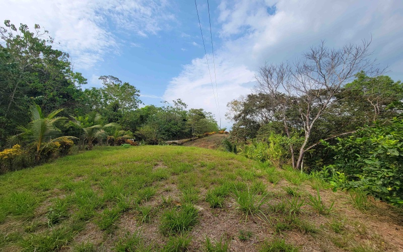 Lot for sale, Se vende, Lote, Pavones, Costa Rica, Punta Banco, Pilon, Remax, Keller Williams, 2 acres, Large lot, Beach lot, Mountain lot, Surf Property, Real Estate for sale. 