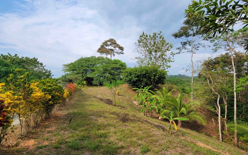 Lot for sale, Se vende, Lote, Pavones, Costa Rica, Punta Banco, Pilon, Remax, Keller Williams, 2 acres, Large lot, Beach lot, Mountain lot, Surf Property, Real Estate for sale. 