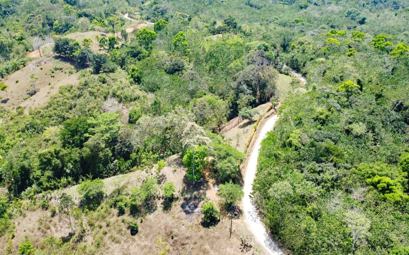 Lot for sale, Se vende, Lote, Pavones, Costa Rica, Punta Banco, Pilon, Remax, Keller Williams, 2 acres, Large lot, Beach lot, Mountain lot, Surf Property, Real Estate for sale. 