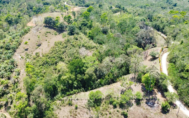 Lot for sale, Se vende, Lote, Pavones, Costa Rica, Punta Banco, Pilon, Remax, Keller Williams, 2 acres, Large lot, Beach lot, Mountain lot, Surf Property, Real Estate for sale. 