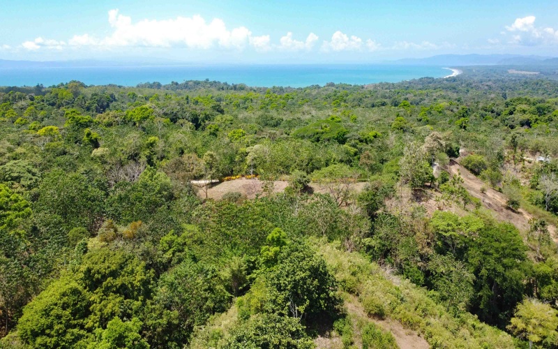 Lot for sale, Se vende, Lote, Pavones, Costa Rica, Punta Banco, Pilon, Remax, Keller Williams, 2 acres, Large lot, Beach lot, Mountain lot, Surf Property, Real Estate for sale. 