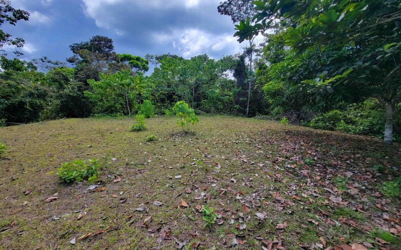 Pavones, Real Estate, Bienes Raices, Property for sale, Lot for sale, Ocean view, Mountain, Land for sale, Costa Rica, Punta Banco, Pilon, Salea, Surf Properties,  Keller Williams, Remax, Pavones Properties