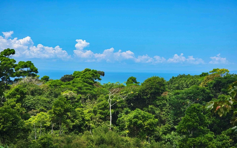 Pavones, Real Estate, Bienes Raices, Property for sale, Lot for sale, Ocean view, Mountain, Land for sale, Costa Rica, Punta Banco, Pilon, Salea, Surf Properties,  Keller Williams, Remax, Pavones Properties