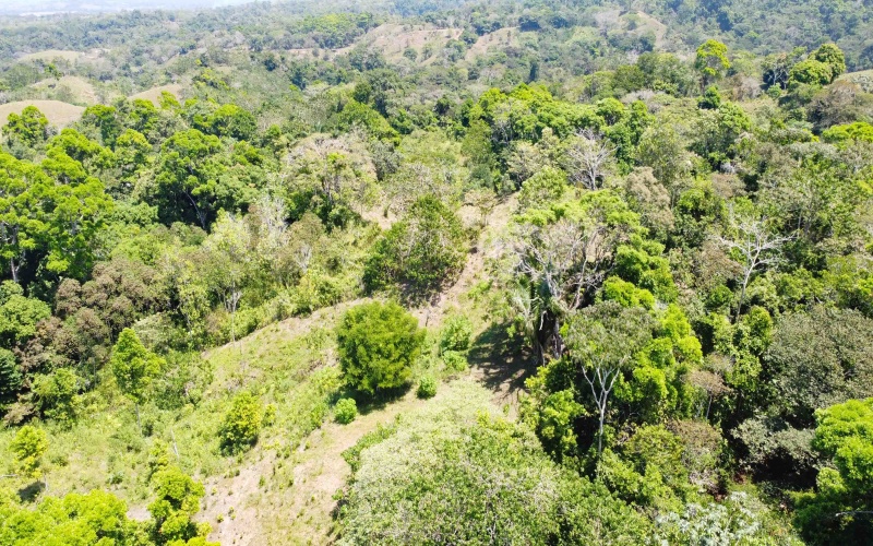 Pavones, Real Estate, Bienes Raices, Property for sale, Lot for sale, Ocean view, Mountain, Land for sale, Costa Rica, Punta Banco, Pilon, Salea, Surf Properties,  Keller Williams, Remax, Pavones Properties