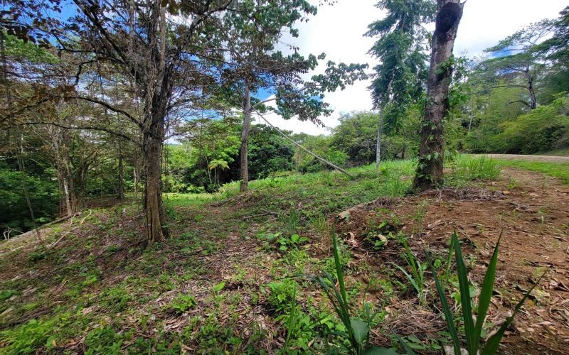 Properties for sale, Real Estate, Se vende, Bienes Raices, keller Williams, Pavones, Punta Banco, Pilon, Zancudo, One Hectare, 