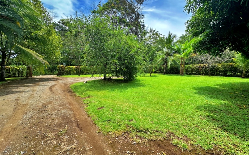 Property for Sale in La Hierba de Pavones - 400 Meters from the Beach - Unique Opportunity: 3 Structures and Fruit Orchard