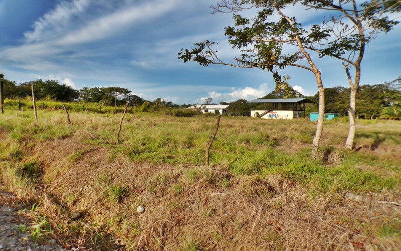 Cocal Commercial Investment Lot Pavones