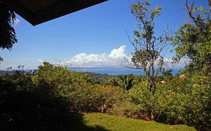 For rent, pavones, costa rica, ocean view, privacy, vacation, jungle, wildlife