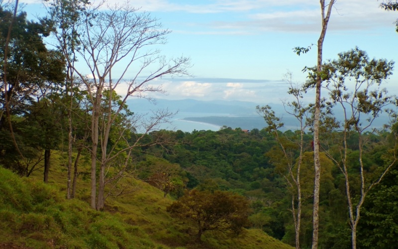 Mirador del Golfo y Volcan Baru 