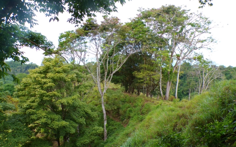 Mirador del Golfo y Volcan Baru 