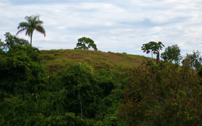 Mirador del Golfo y Volcan Baru 