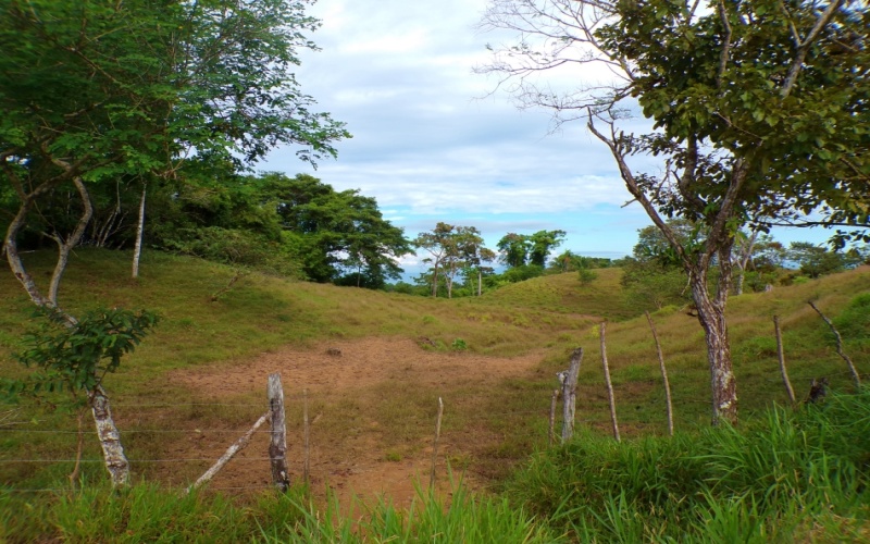 Mirador del Golfo y Volcan Baru 