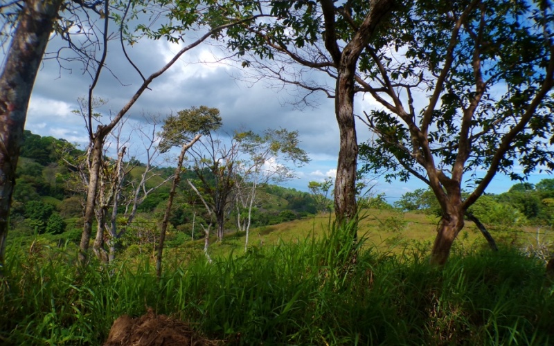 Paraíso Panorámico del Golfo y Montañas