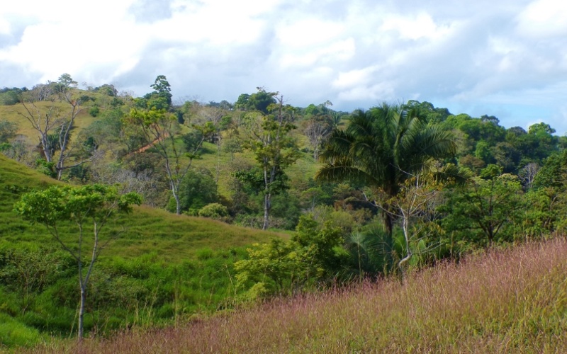 Paraíso Panorámico del Golfo y Montañas