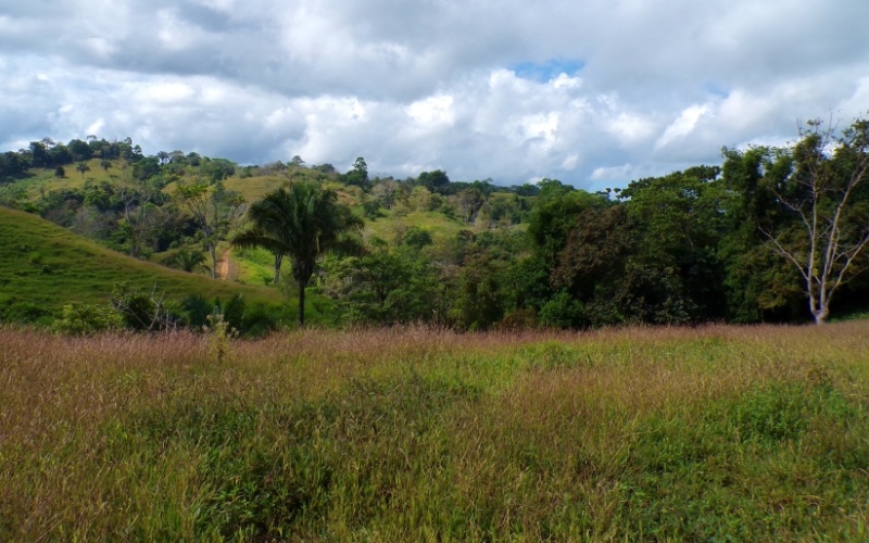 Paraíso Panorámico del Golfo y Montañas