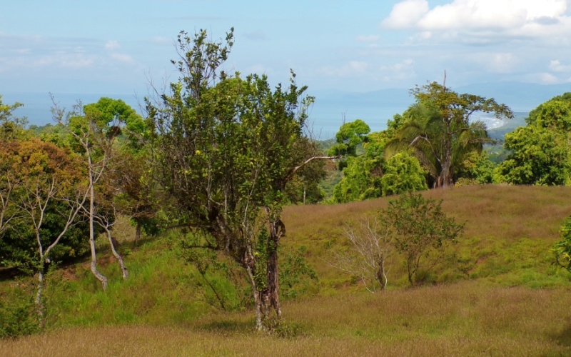 Paraíso Panorámico del Golfo y Montañas