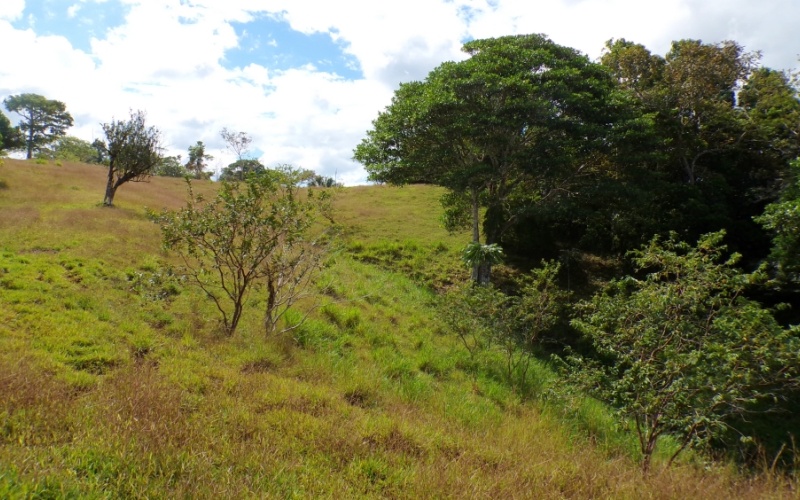 Paraíso Panorámico del Golfo y Montañas