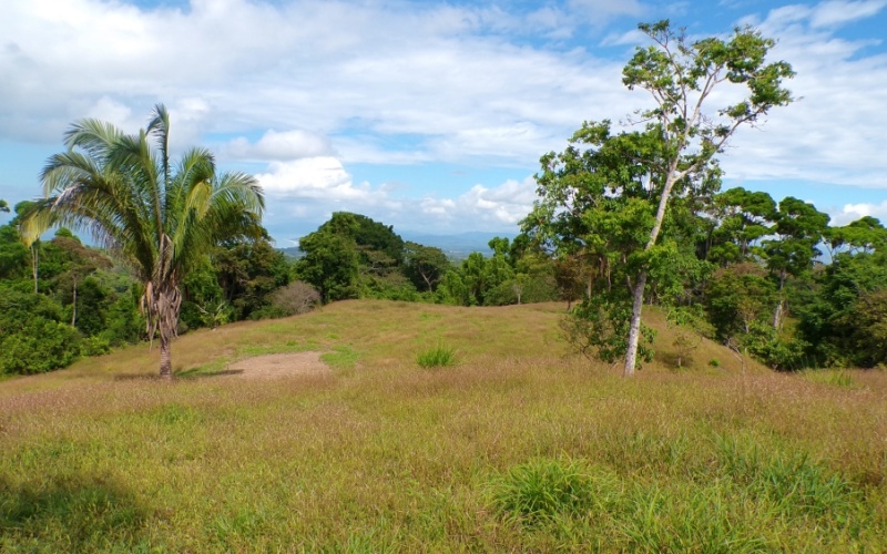 Paraíso Panorámico del Golfo y Montañas