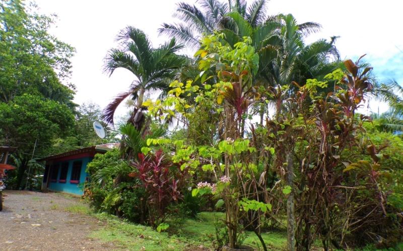 Casa Jardín de Pilón