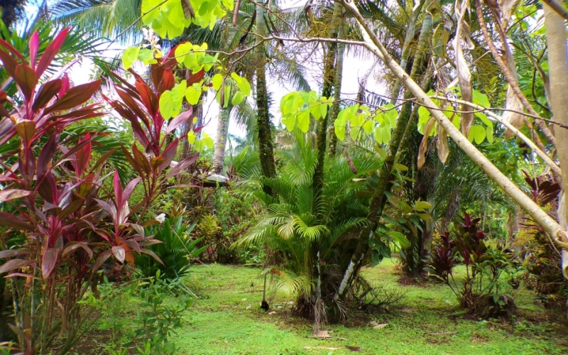 Casa Jardín de Pilón