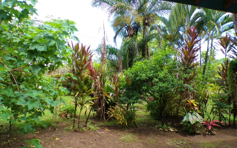 Casa Jardín de Pilón