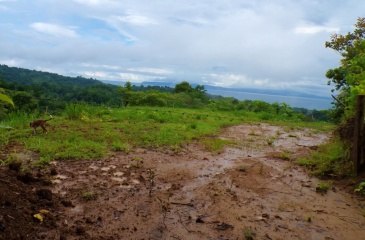 Mirador de Cuervito property has a size of 12543 square meters is a true haven for those seeking peace, beauty, and a connection with nature.