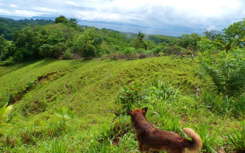 Mirador de Cuervito